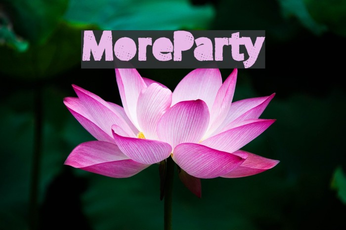 MoreParty Font examples