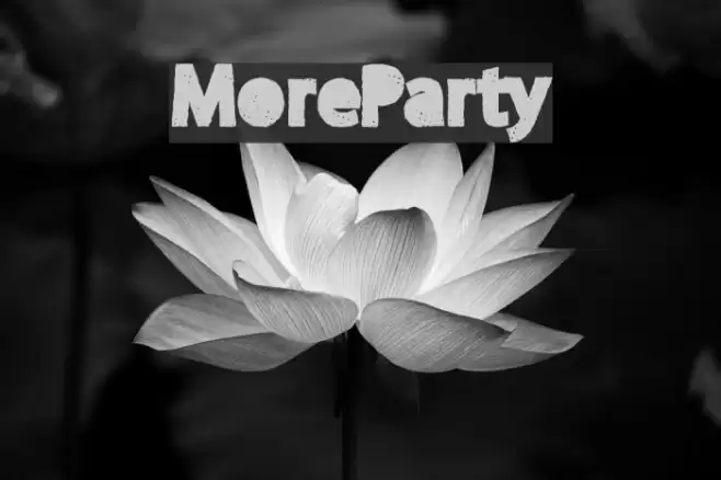 MoreParty Fuentes examples