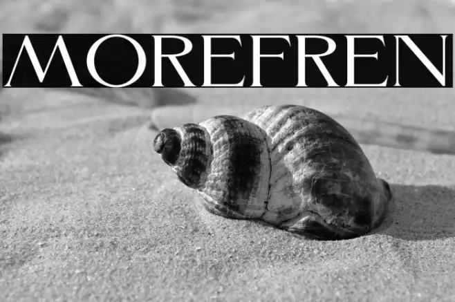 Morefren Example 1