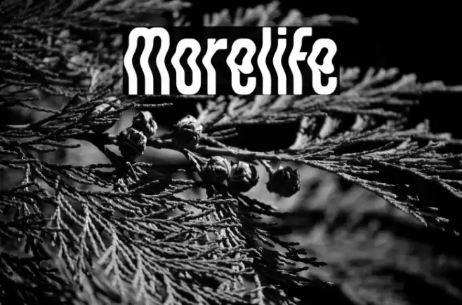 Morelife Font examples