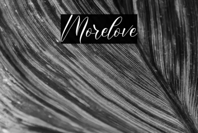 Morelove Font examples