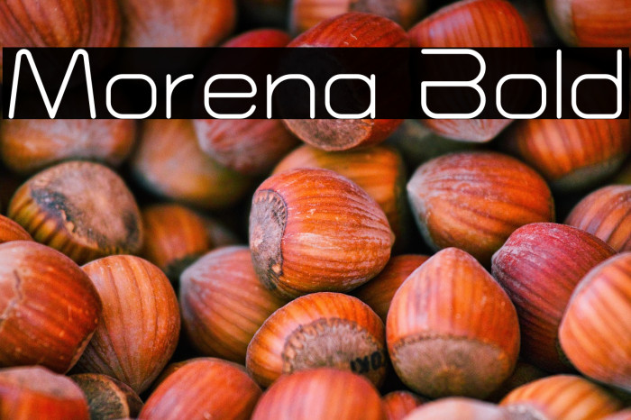 Morena Bold Example 2