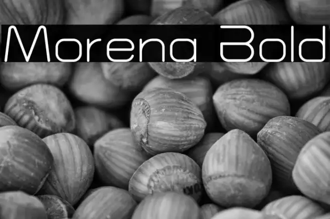 Morena Bold Example 2