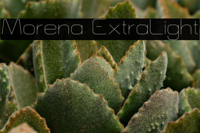 Morena ExtraLight Example 1