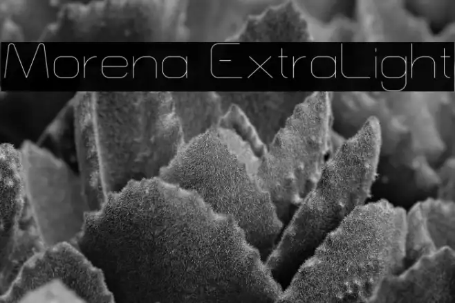 Morena ExtraLight Example 1