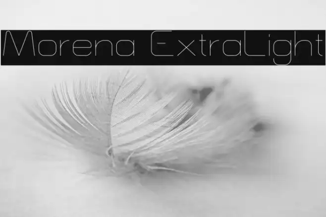 Morena ExtraLight Example 3