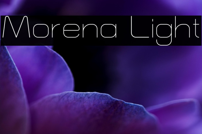 Morena Light Example 1