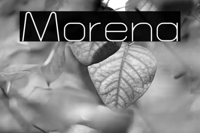 Morena Example 1