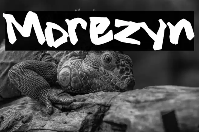 Morezyn Fuentes examples