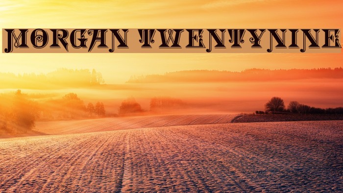 Morgan TwentyNine Font examples