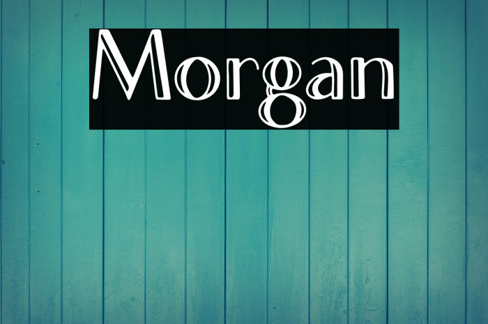 Morgan Example 1