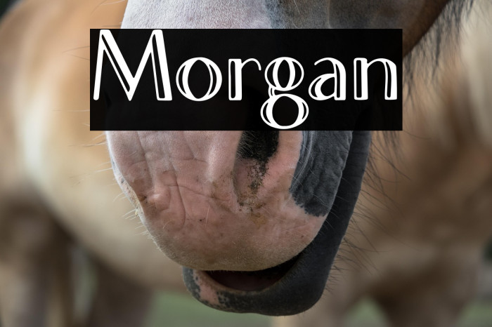 Morgan Example 3