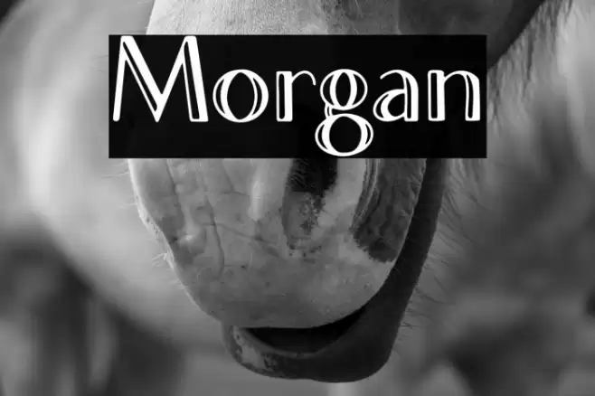 Morgan Font examples