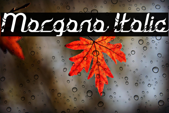 Morgana Italic Example 2