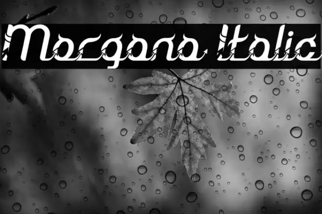 Morgana Italic Example 2