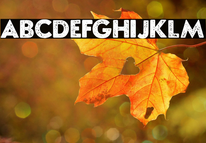 Morgana Personal Use Regular Example 1