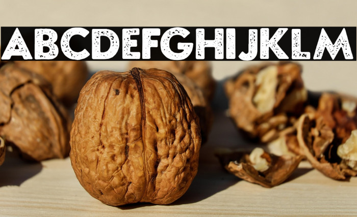 Morgana Personal Use Regular Example 2