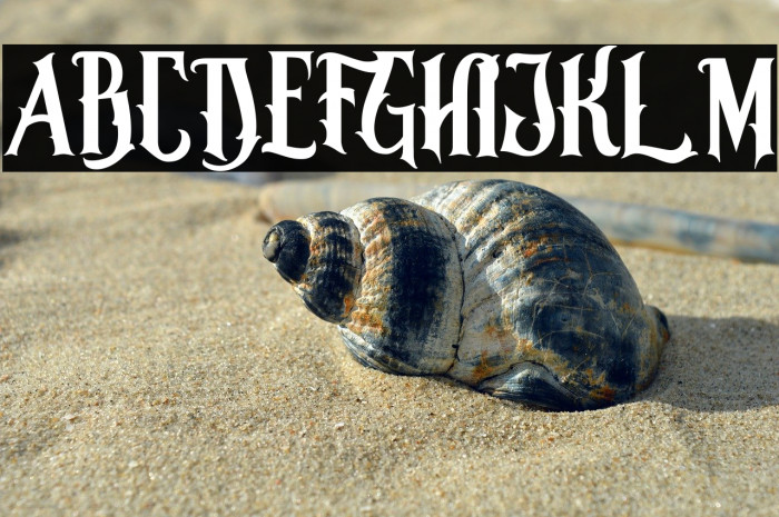 Morgana Regular Example 1