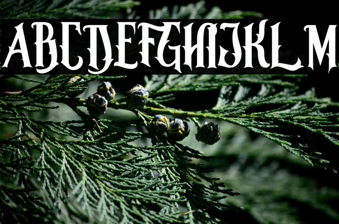 Morgana Regular Example 2