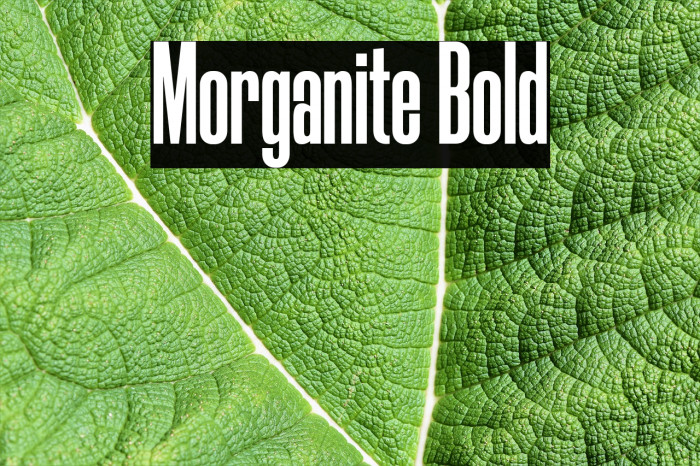 Morganite Bold Example 1