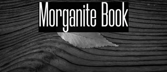 Morganite Book Font examples