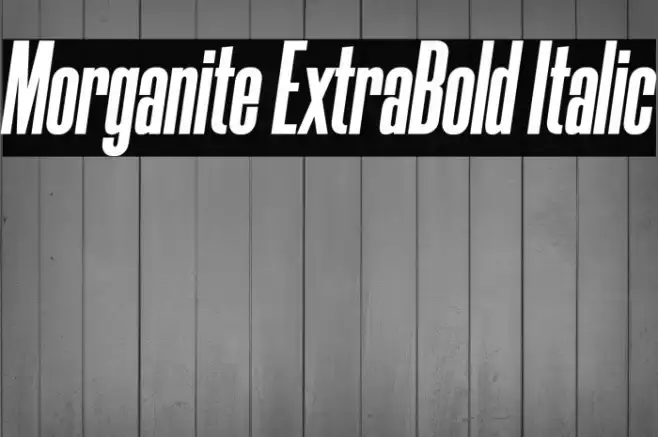 Morganite ExtraBold Italic Example 1