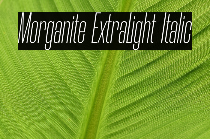 Morganite ExtraLight Italic Font examples