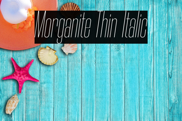 Morganite Thin Italic Font examples