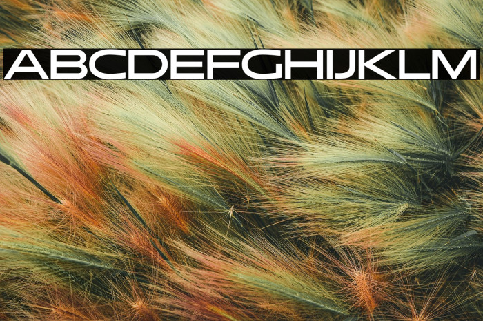 Morgant Regular Example 1