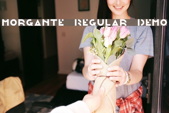Morgante Regular Demo Example 1