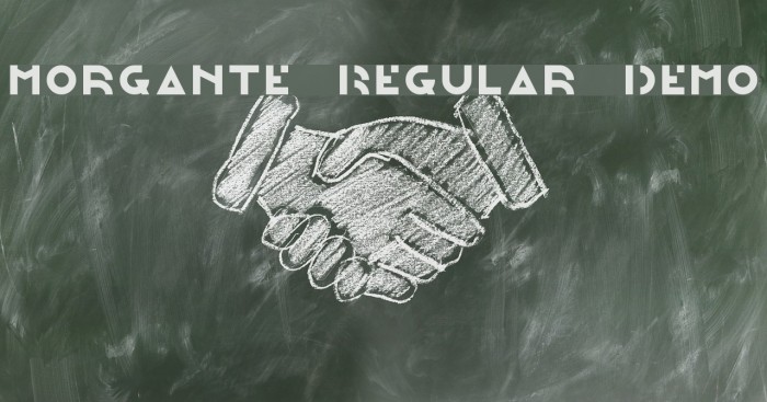 Morgante Regular Demo Example 2