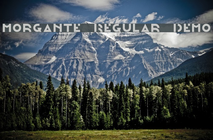 Morgante Regular Demo Example 3