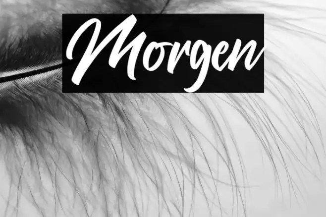 Morgen Example 1