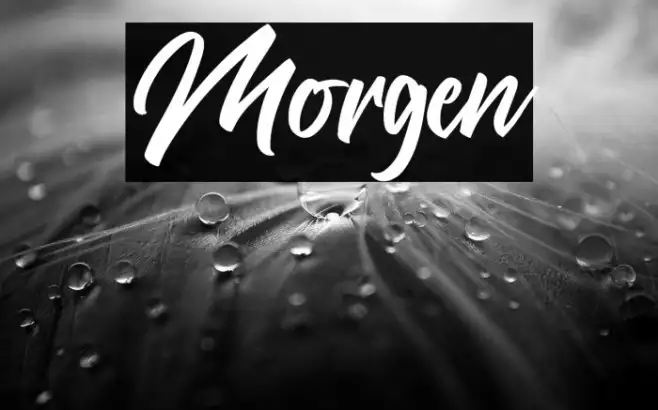 Morgen Example 2