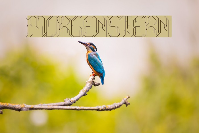Morgenstern Font examples
