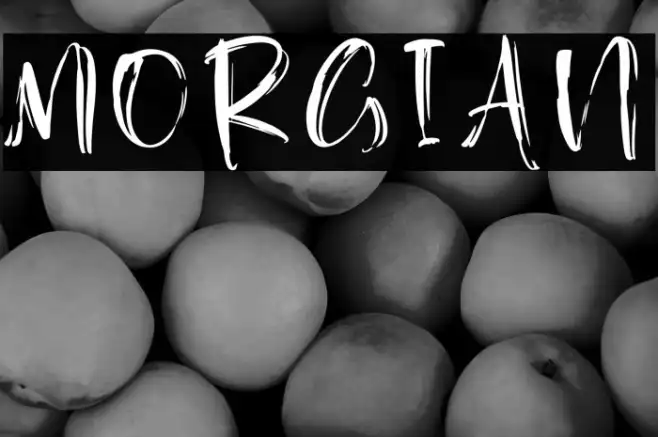 Morgian Example 1