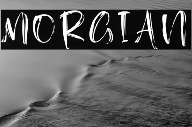 Morgian Example 2