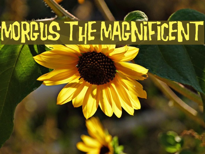 Morgus the Magnificent Font examples