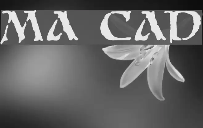 Moria Citadel Fonte examples