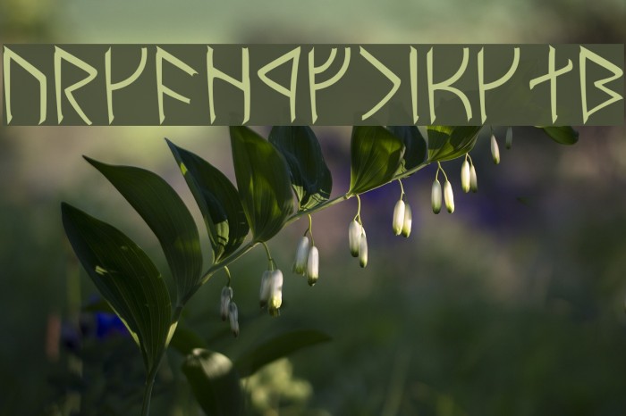 Moria Normal Example 2