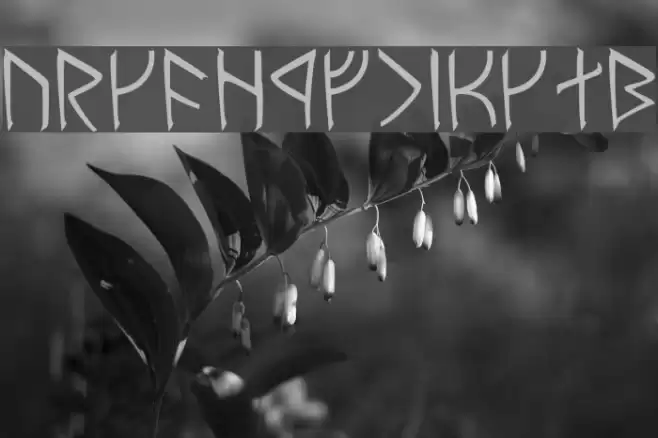 Moria Normal Font examples