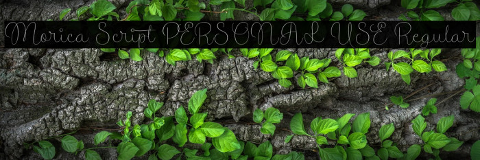 Morica Script PERSONAL USE Regular Example 2