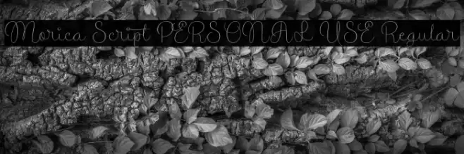 Morica Script PERSONAL USE Regular Font examples