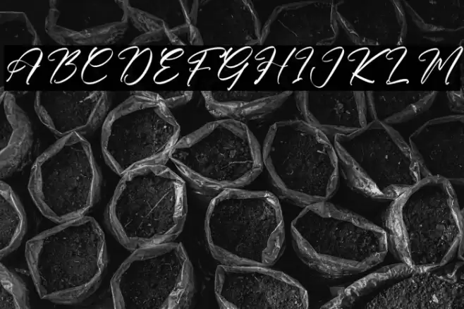 Morietta Garden DEMO VERSION Italic Schriftart examples