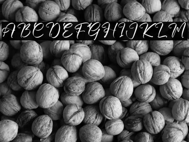 Morietta Garden DEMO VERSION Schriftart examples