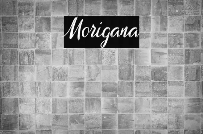 Morigana Example 2