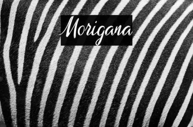 Morigana Example 3
