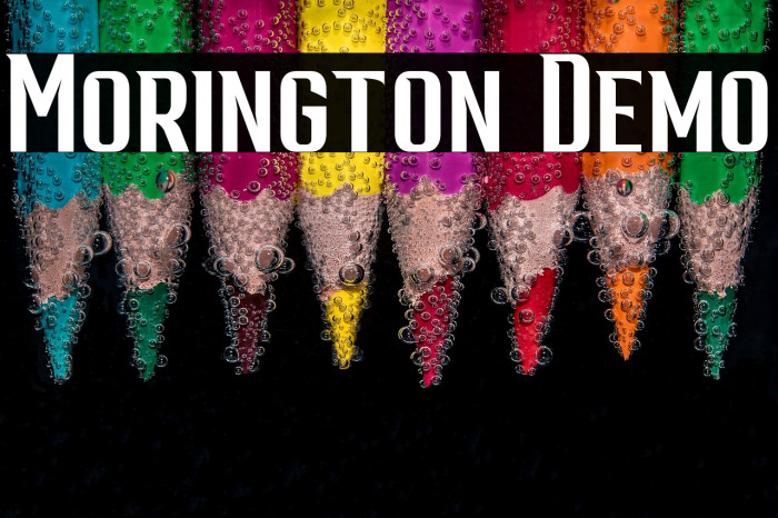 Morington Demo Example 1