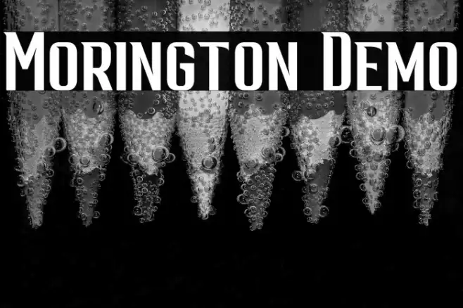Morington Demo Example 1