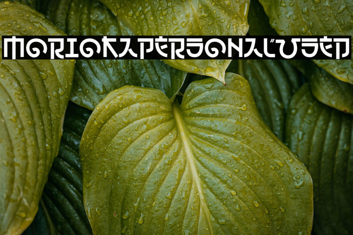 Morioka Personal Used Example 2